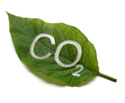 CO2 uitstoot vermindert als je kiest voor groene e...